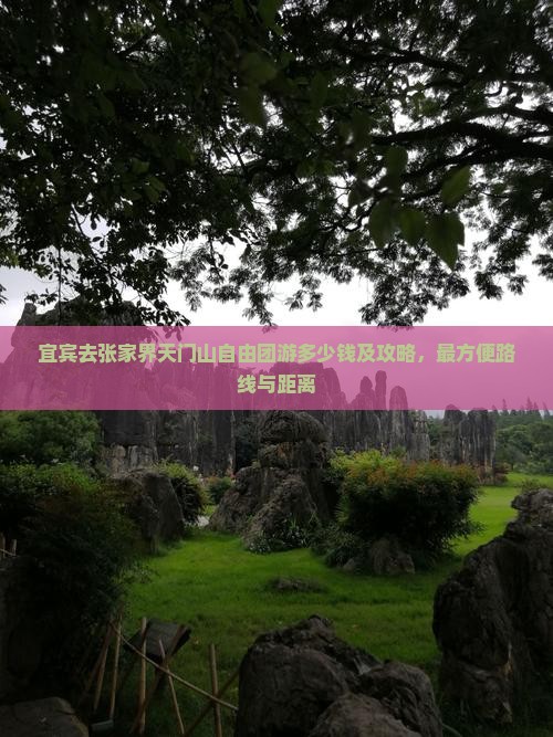 宜宾去张家界天门山自由团
