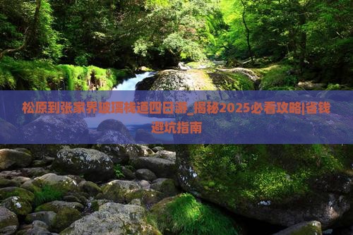 松原到张家界玻璃栈道四日游