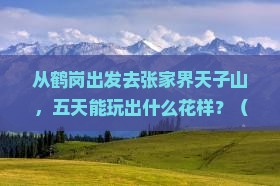 鹤岗去张家界天子山五日游