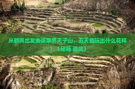 鹤岗去张家界天子山五日游