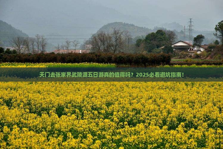 天门去张家界武陵源五日游