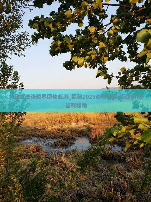 六盘水去张家界团体旅游