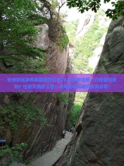 忻州到张家界芙蓉镇四日游