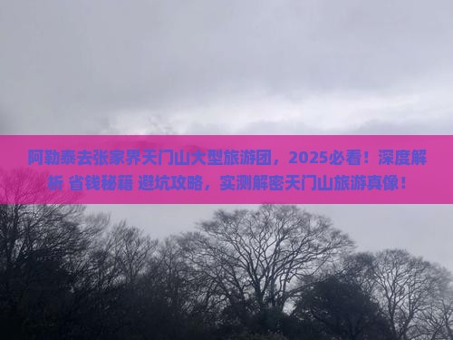 阿勒泰去张家界天门山大型旅游团