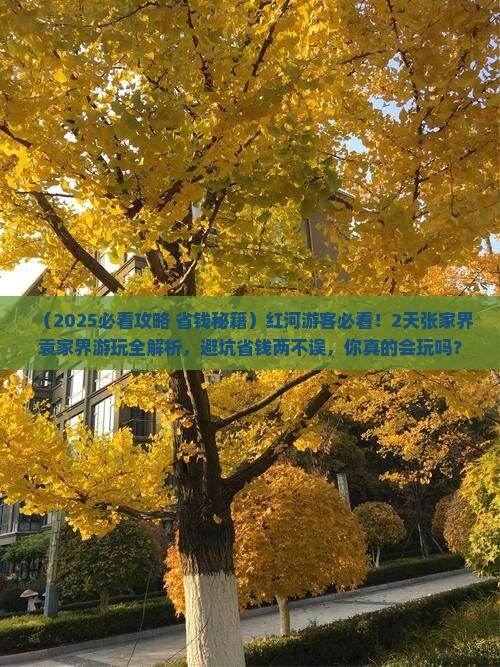 红河去张家界袁家界二日游