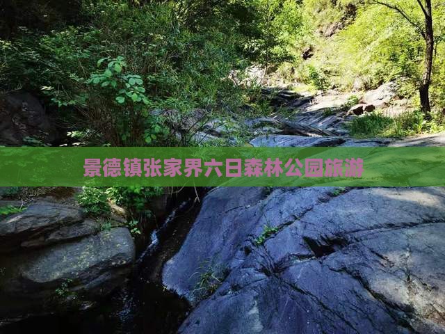 景德镇去张家界森林公园六日游