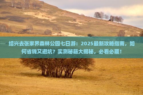 绍兴去张家界森林公园七日游