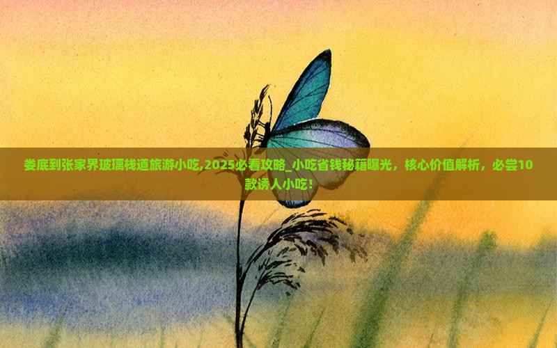 娄底到张家界玻璃栈道旅游小吃