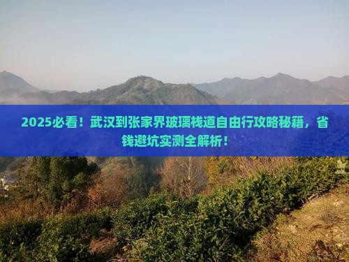 武汉到张家界玻璃栈道自由行