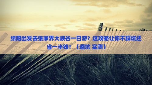 绵阳到张家界大峡谷一日