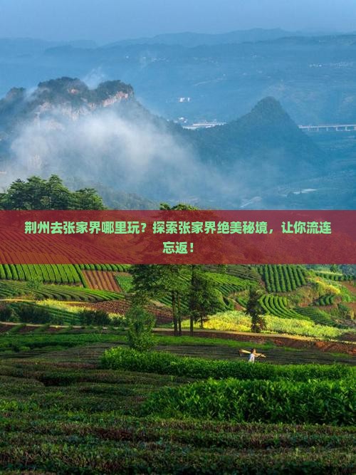 荆州去张家界哪里玩