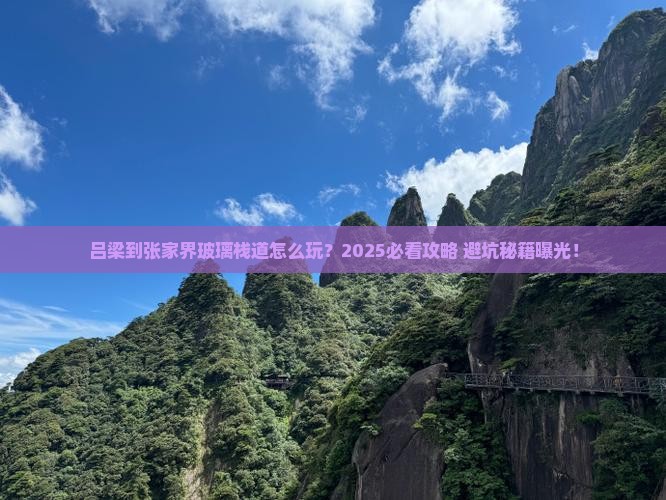 吕梁到张家界玻璃栈道自由行