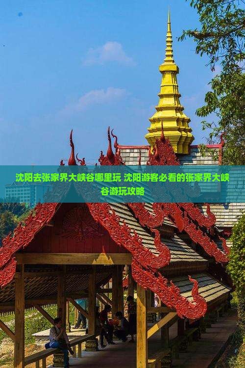 沈阳去张家界大峡谷哪里玩