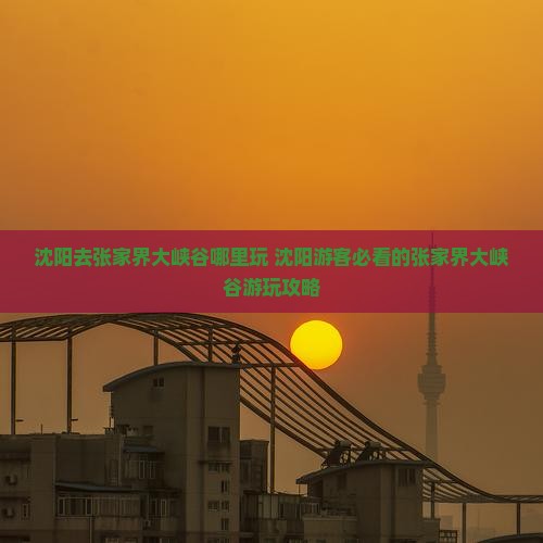 沈阳去张家界大峡谷哪里玩