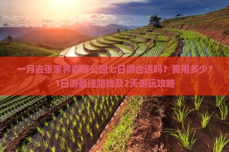 一月去张家界森林公园七日游