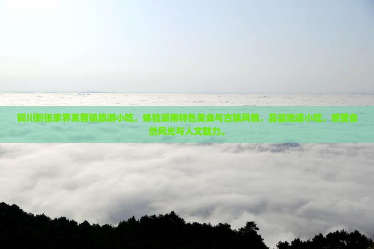 铜川到张家界芙蓉镇旅游小吃