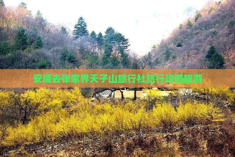 安顺去张家界天子山旅行社
