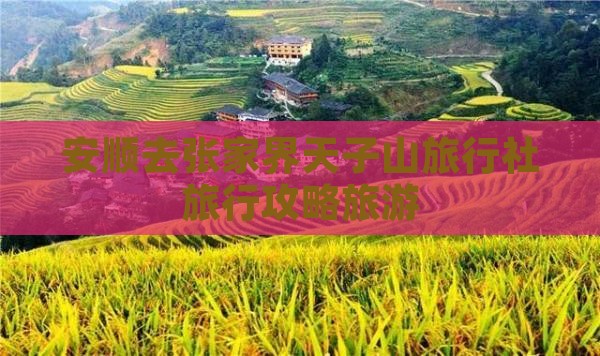 安顺去张家界天子山旅行社