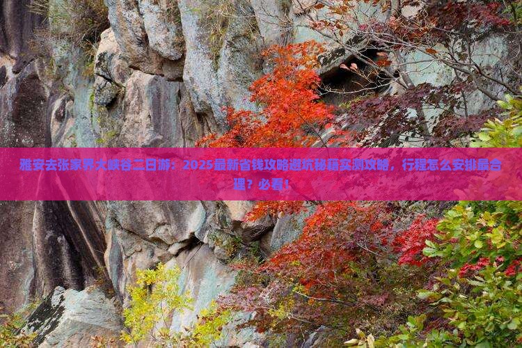雅安去张家界大峡谷二日游