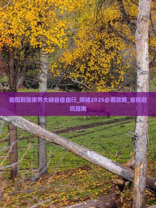 衡阳到张家界大峡谷自由行