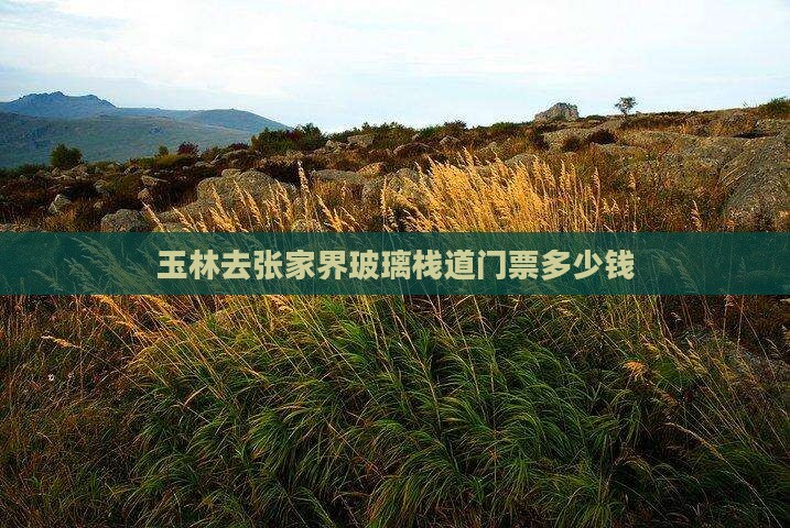玉林去张家界玻璃栈道门票