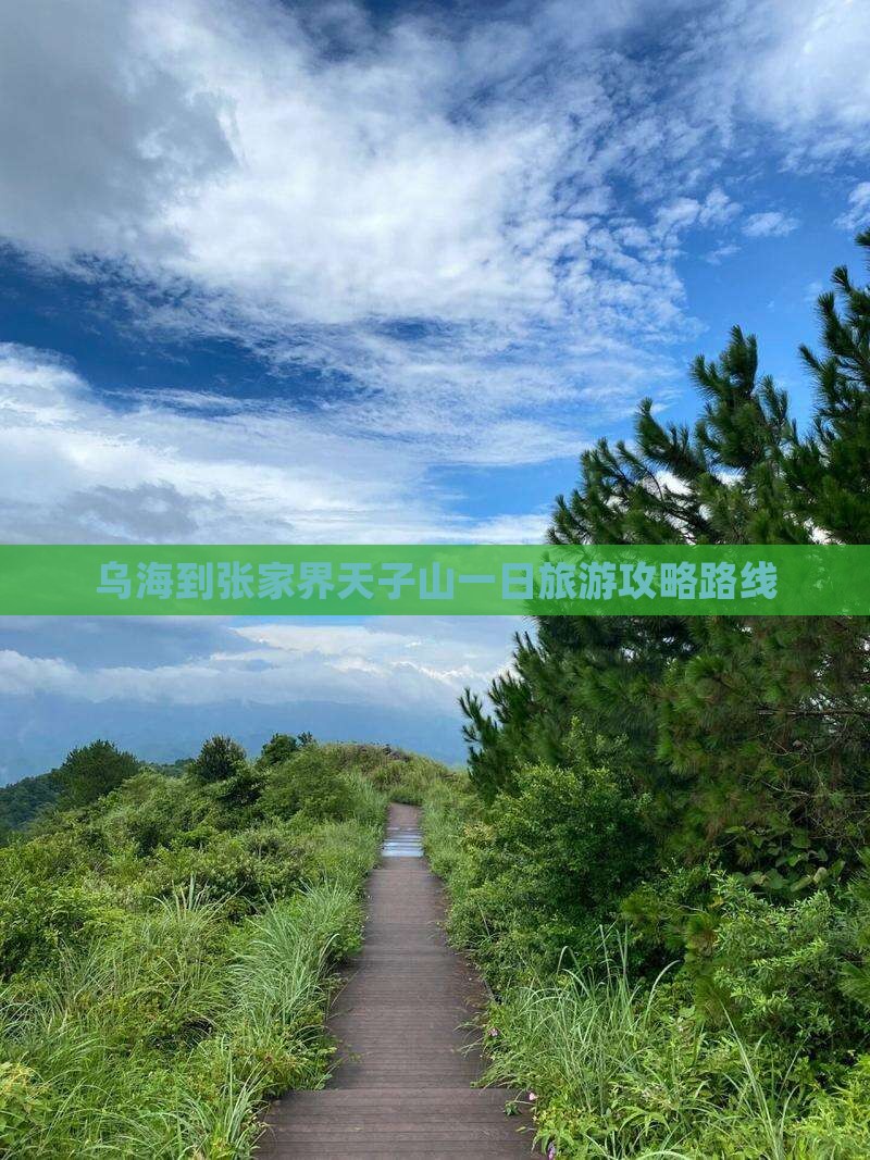 乌海市到张家界天子山一日