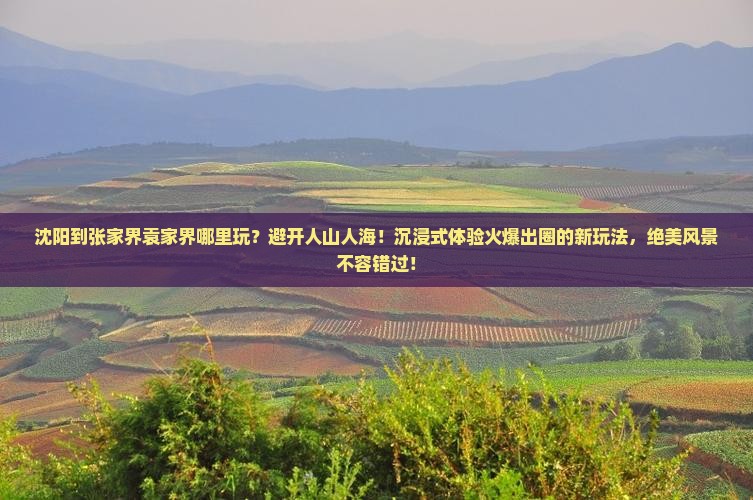 沈阳到张家界袁家界哪里玩