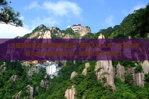 沈阳到张家界袁家界哪里玩
