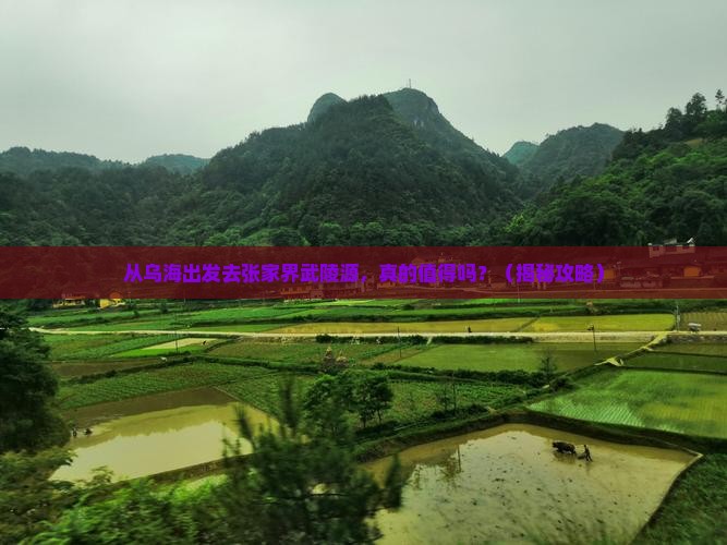 乌海去张家界武陵源旅游