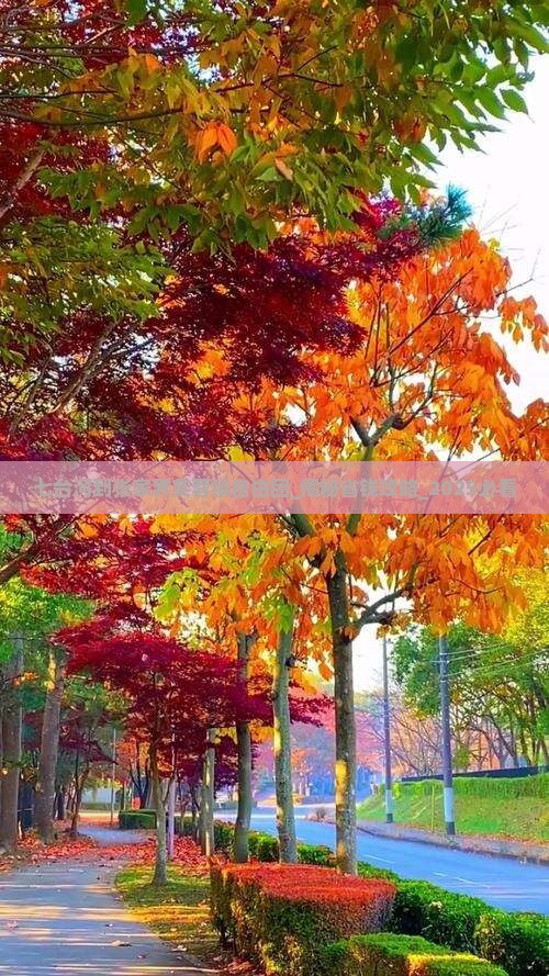 七台河到张家界芙蓉镇自由团