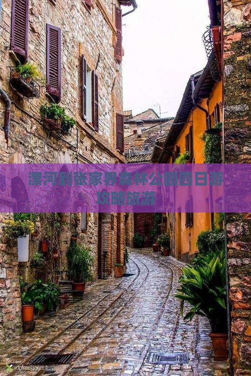 漯河到张家界森林公园四日游