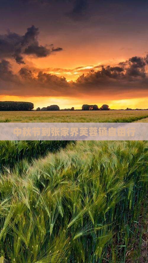 中秋节到张家界芙蓉镇自由行