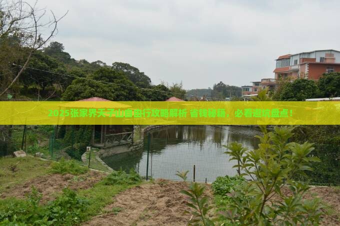 聊城去张家界天子山自由团