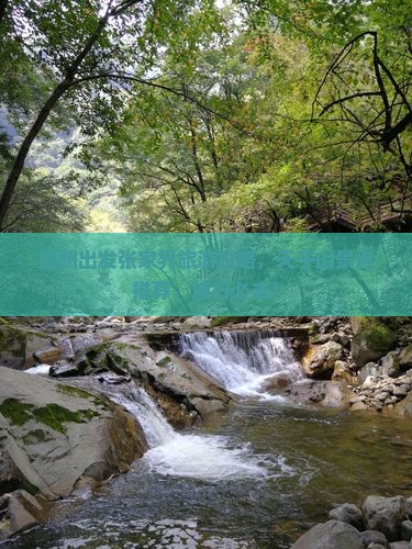 鄂州去张家界天子山景点