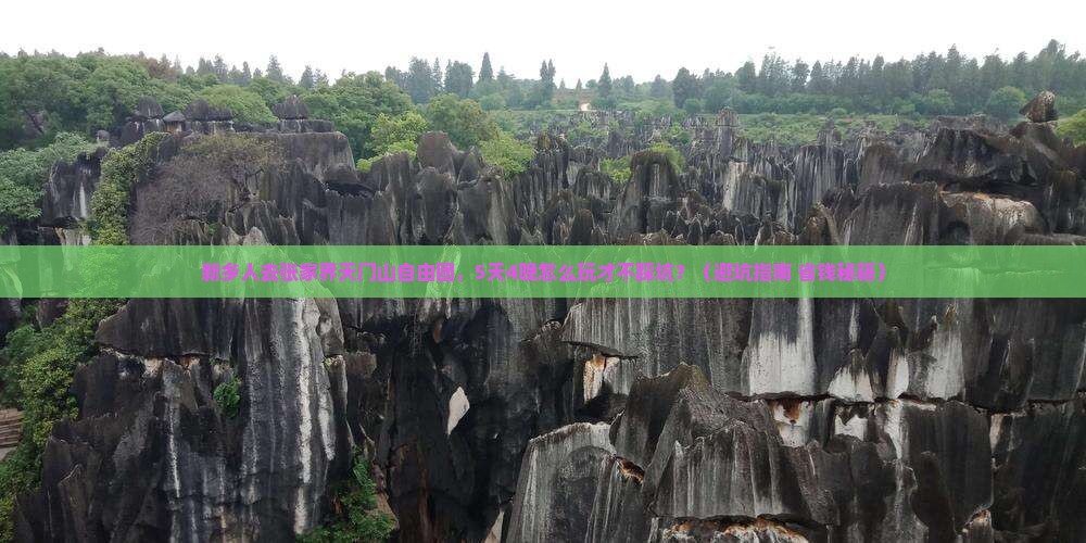 新乡到张家界天门山自由团