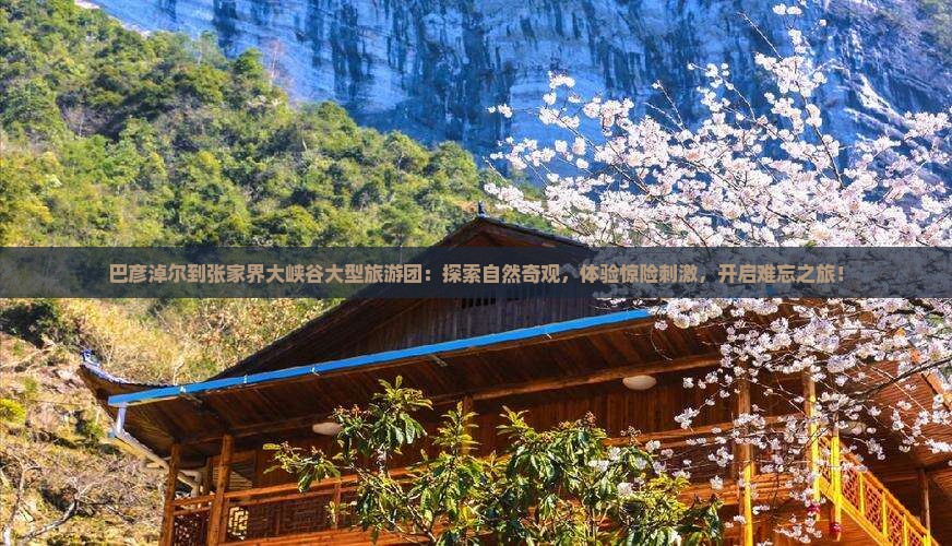 巴彦淖尔到张家界大峡谷大型旅游团