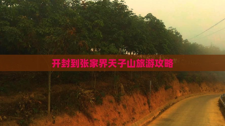 开封到张家界天子山大型旅游团