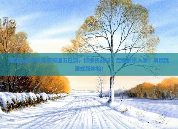 南阳去张家界玻璃栈道五日游