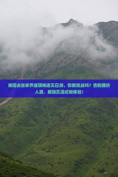 南阳去张家界玻璃栈道五日游
