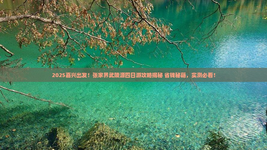 嘉兴到张家界武陵源四日游