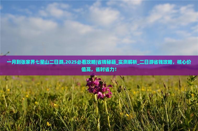 一月到张家界七星山二日游