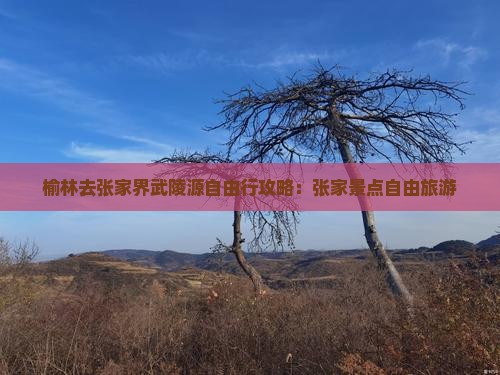 榆林去张家界武陵源自由行