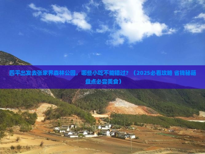 四平去张家界森林公园旅游小吃