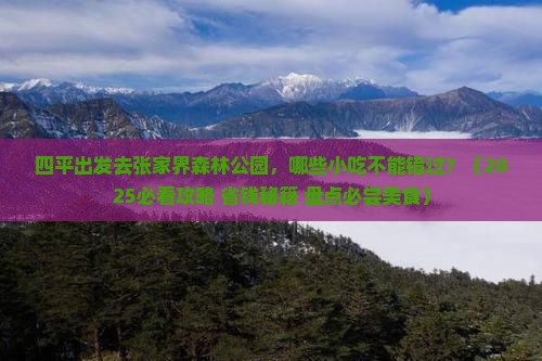 四平去张家界森林公园旅游小吃