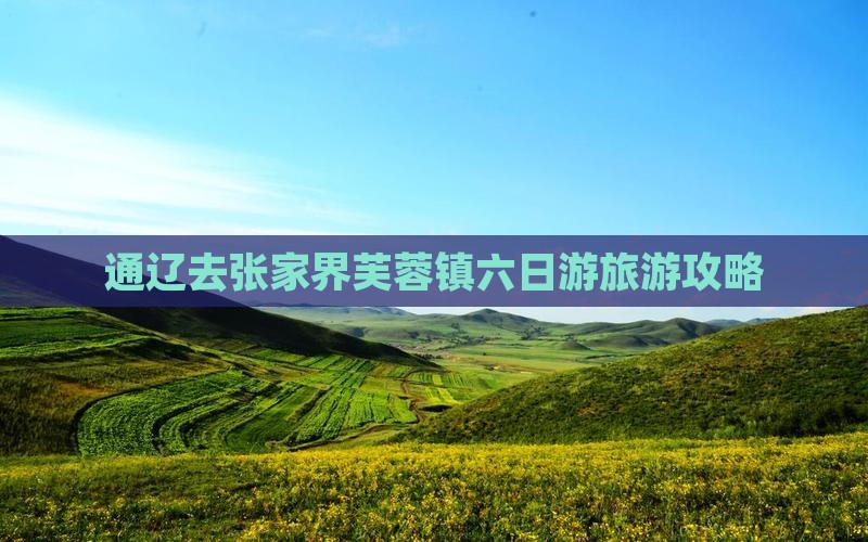 通辽去张家界芙蓉镇六日游