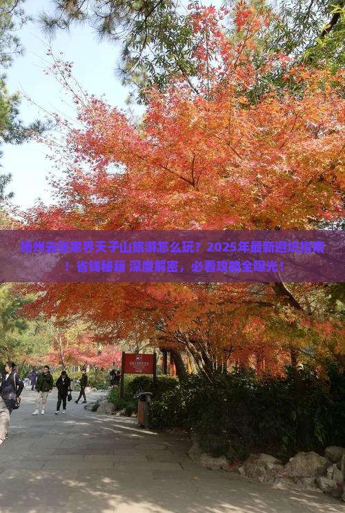 扬州去张家界天子山旅游