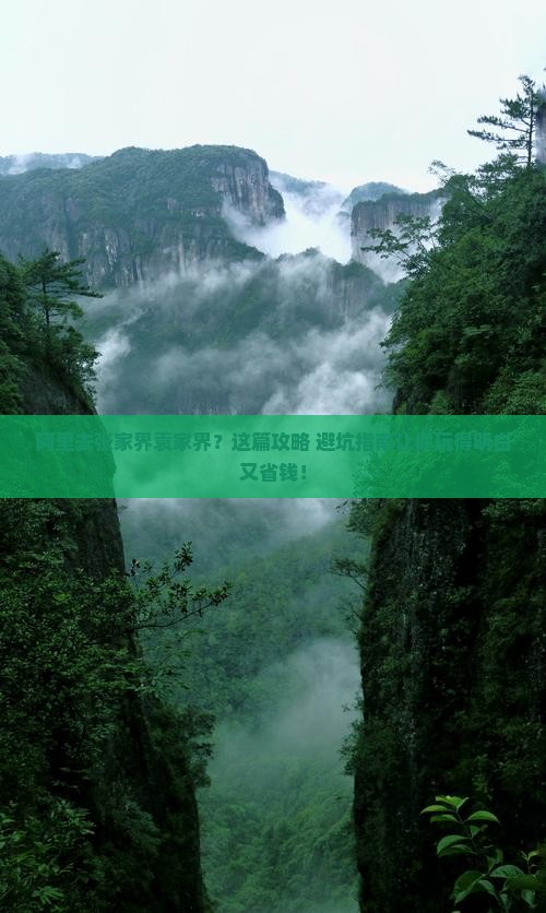 阿里去张家界袁家界旅行社