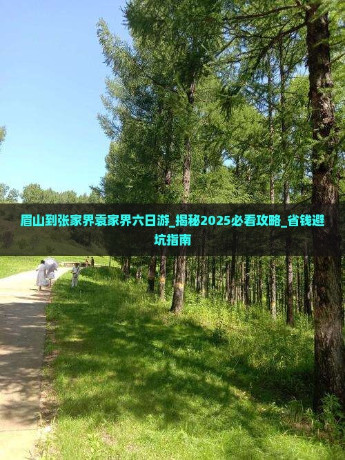 眉山到张家界袁家界六日游