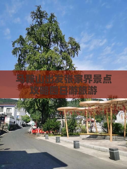 马鞍山去张家界袁家界四日游