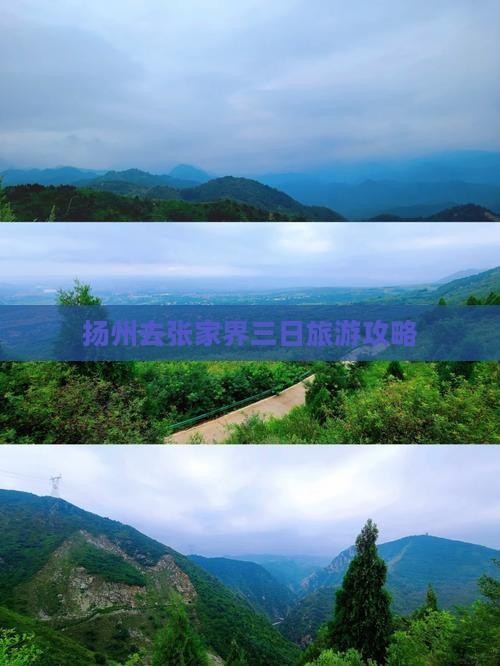 扬州去张家界森林公园三日游